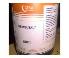 Nembutal Pentobarbital, Actavis