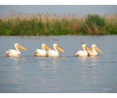 Investment 736ha land for tourism, aquaculture and agriculture in the Danube Delta, Romania, Europe