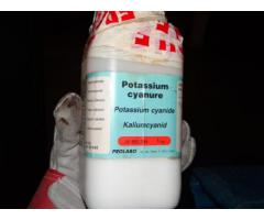 ..Buy potassium cyanide ( KCN ) powder, pills....( wickr ID: chana01 )
