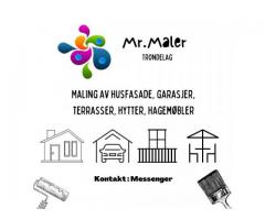 Mr.Maler