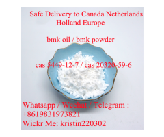High quality 70% high yield rate Europe /Canada new bmk powder from China supplier
